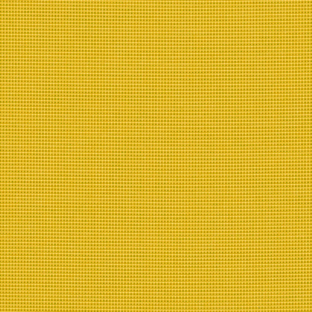 ben-10156-140-bengali-yellow-LR