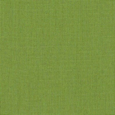 ben-10167-140-bengali-bamboo-LR