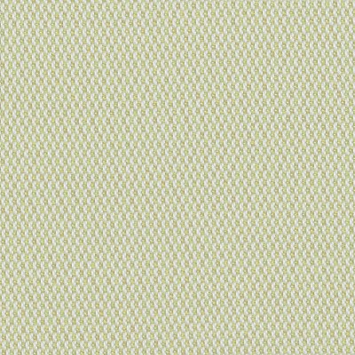 lop-r021-140-lopi-lime-LR.jpg