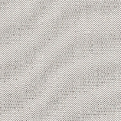 sav-j239-140-savane-silver-reverse-LR.jpg