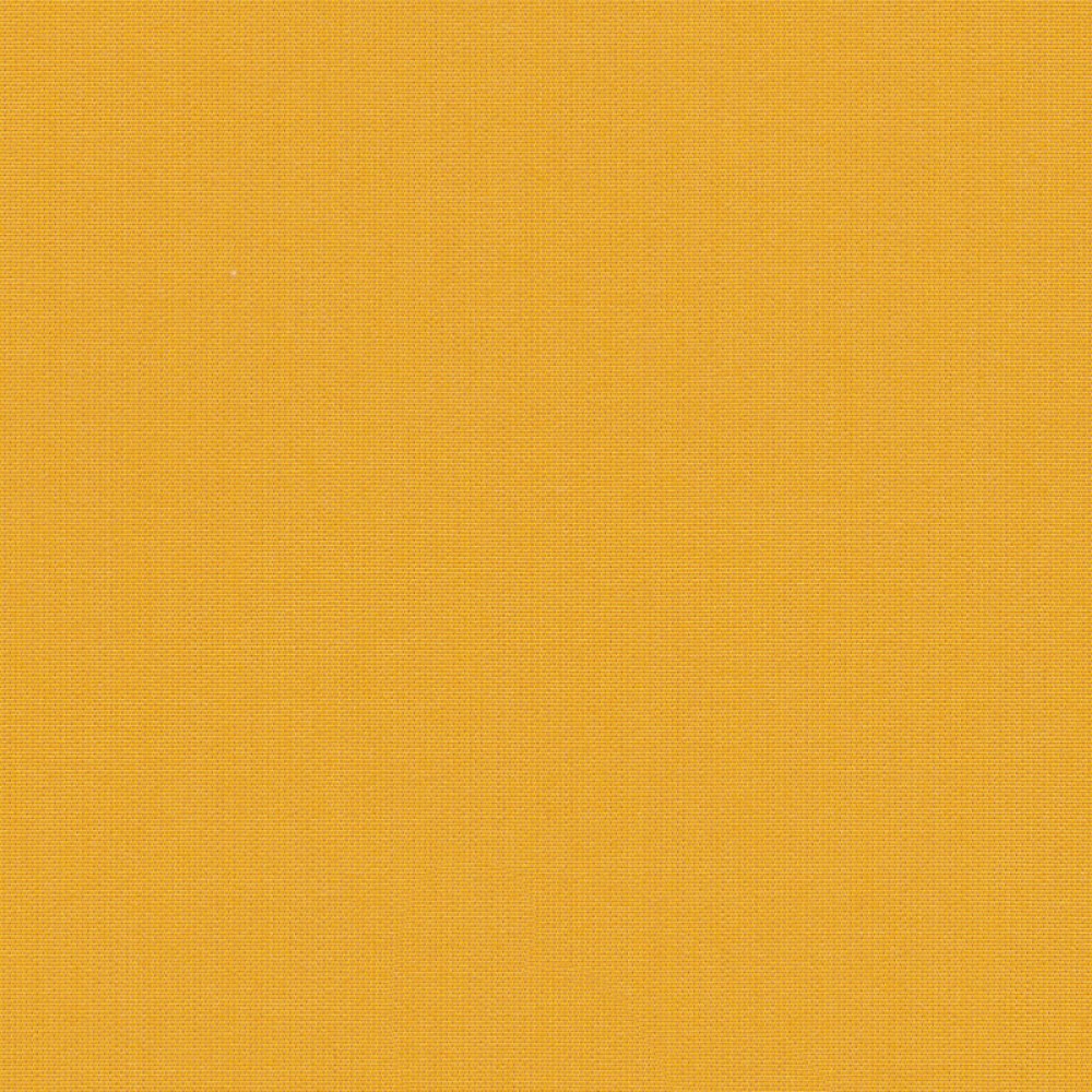 sja-3938-137-mimosa-LR