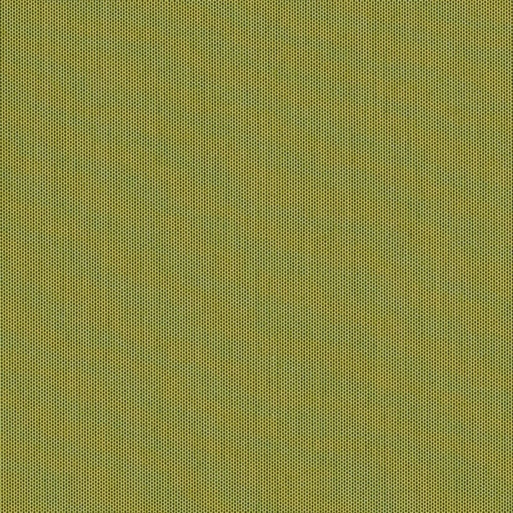 sja-3970-137-lichen-LR