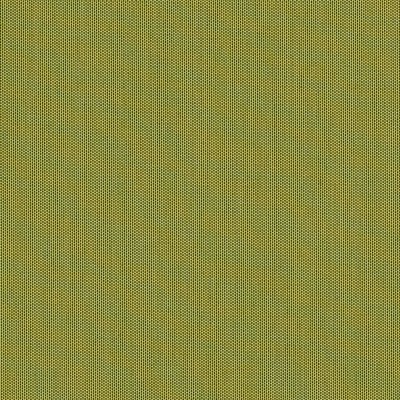 sja-3970-137-lichen-LR