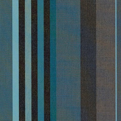 sja-3972-137-figari-peacock-LR